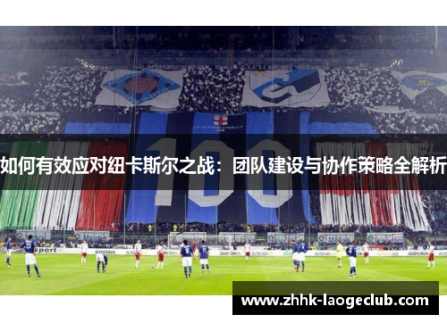 如何有效应对纽卡斯尔之战：团队建设与协作策略全解析